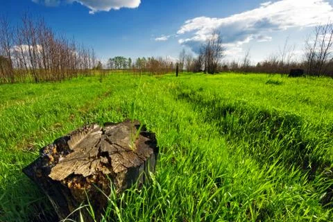 Green field Stock Photos