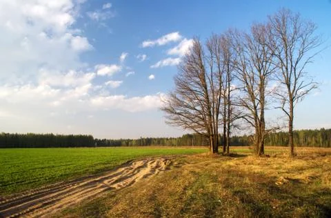 Green field Stock Photos