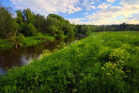 Green field Stock Photos