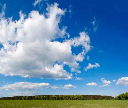 Green field Stock Photos