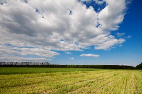 Green field Stock Photos