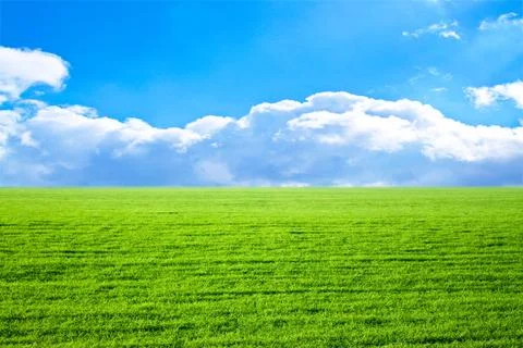 Green field Stock Photos