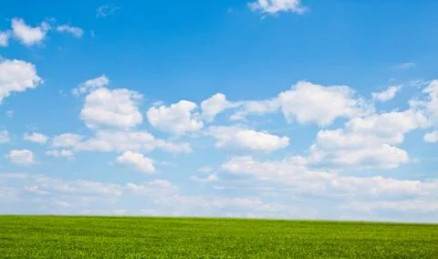 Green field Stock Photos