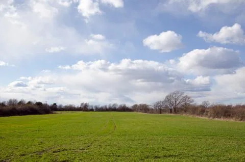 Green field Stock Photos