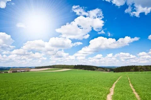 Green field Stock Photos