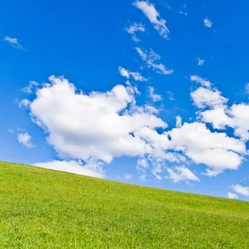Green field Foto stock