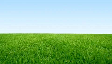 Green field Stock Photos