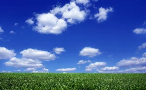 Green field Stock Photos
