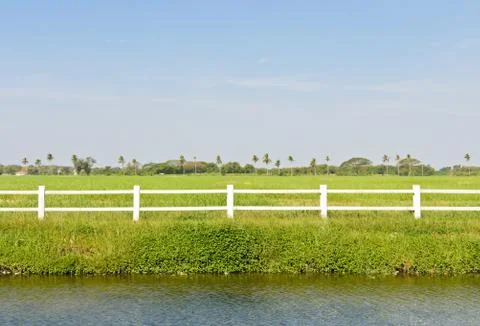 Green field Stock Photos