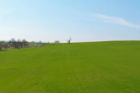 Green field Stock Photos