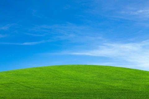 Green field Stock Photos