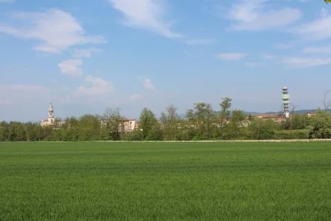 Green field Stock Photos