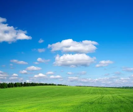Green field Stock Photos