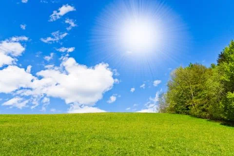 Green field Stock Photos