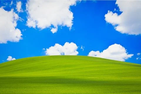 Green field Stock Photos