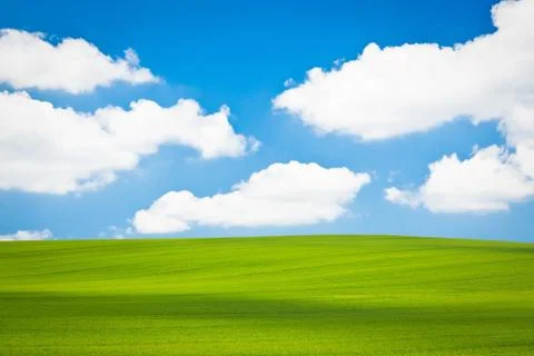 Green field Stock Photos