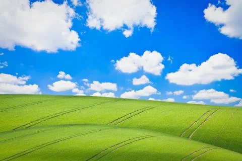 Green field Stock Photos