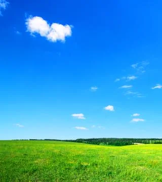 Green field Stock Photos