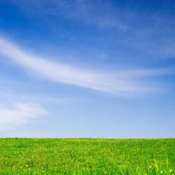 Green field Stock Photos
