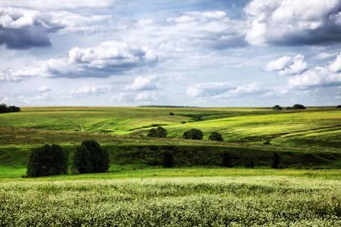 Green field Stock Photos