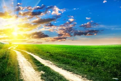 Green field 스톡 사진