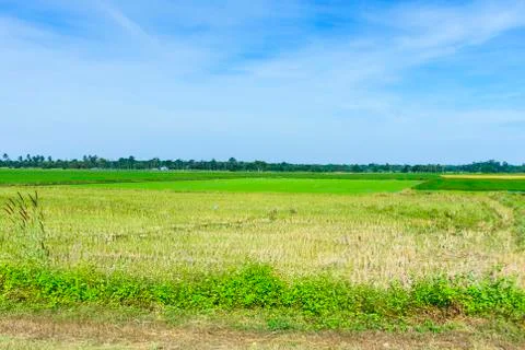Green field Stock Photos