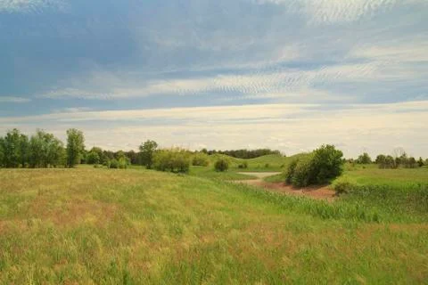 Green field Photos
