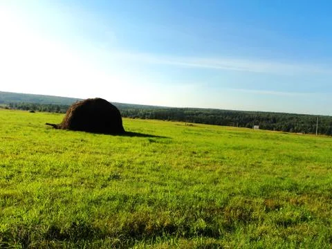 Green field Stock Photos