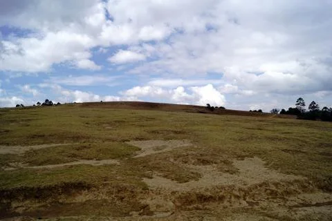 Green Field Stock Photos