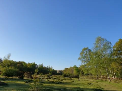 Green Field Stock Photos