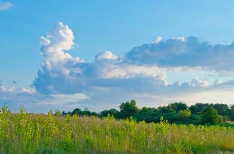 Green field Stock Photos
