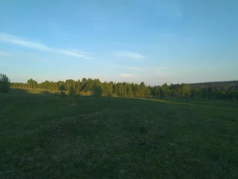 Green field Stock Photos