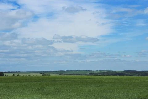 Green field Stock Photos