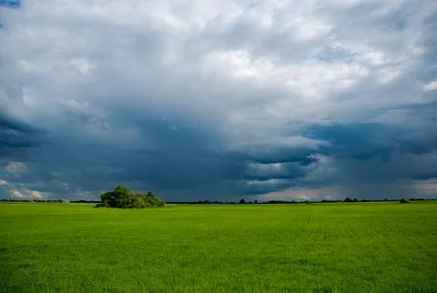 Green field Foto stock