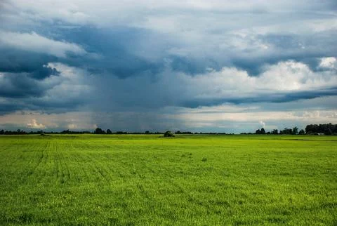 Green field Foto stock
