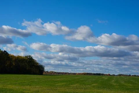 Green field Stock Photos