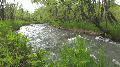 Green field with river Vídeo Stock 728774