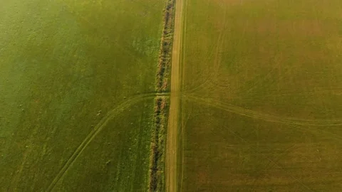 Green field road marks dly over Video stock 141872471