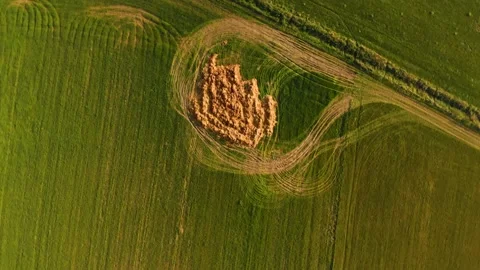 Green field road marks dly over Stock Footage 141872663