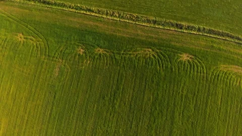 Green field road marks dly over Stock Footage 141873091