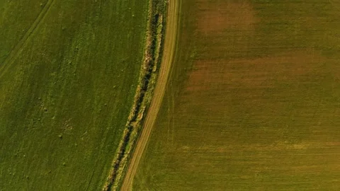 Green field road marks dly over Stock Footage 141874456