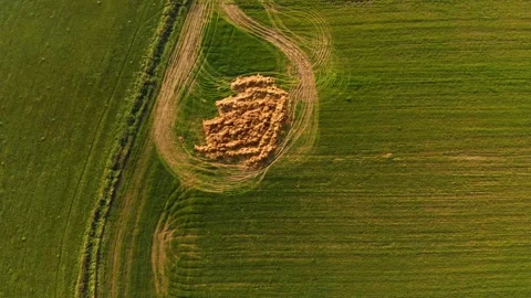 Green field road marks dly over Stock Footage 141874524