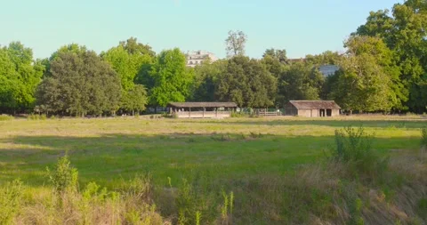 Green field with rustic barns surrounded by trees in Parc de la Tête d'Or, Stockbeeldmateriaal 285864163