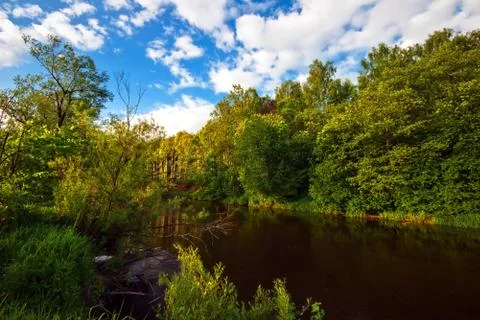 Green field with small river Stock Photos