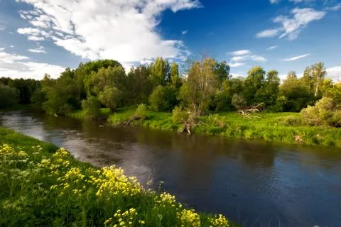 Green field with small river Stock Photos