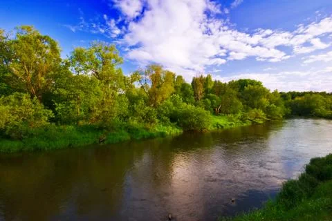 Green field with small river Stock Photos