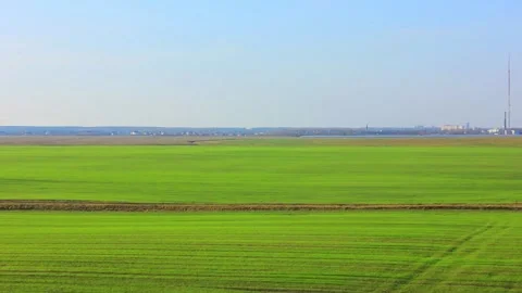 Green field with some forest trees Stock Footage 123411967