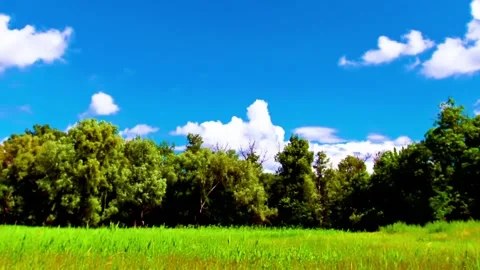 Green field spring and cloudy sky Stock Footage 154017439
