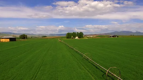Green Field in the Spring Stock Footage 63750203