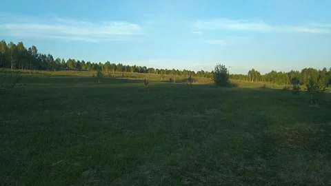 Green field in spring Stock Footage 156175347